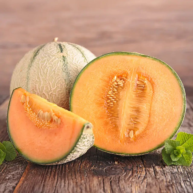 Lemoncello Melon