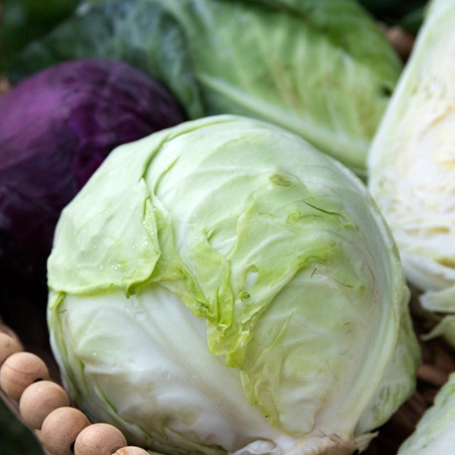 Gourmet Cabbage Sampler