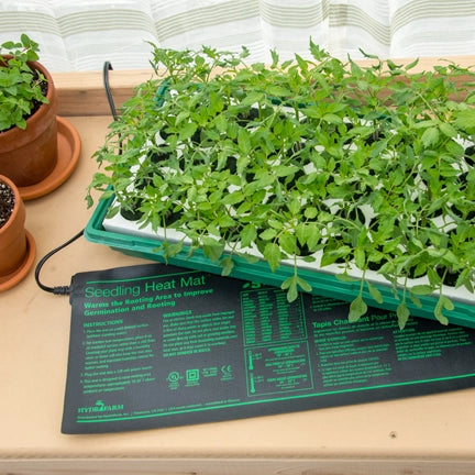 Episode 7: Seed Starting, Feeding Fruit Trees & Choosing an Apple Tree