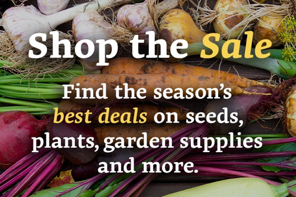 Shop the Sale