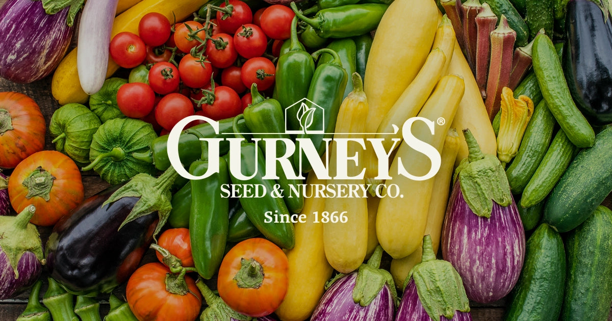 Gurneys logo