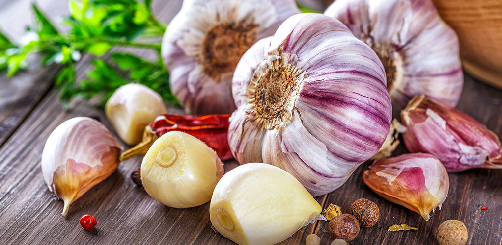 Garlic