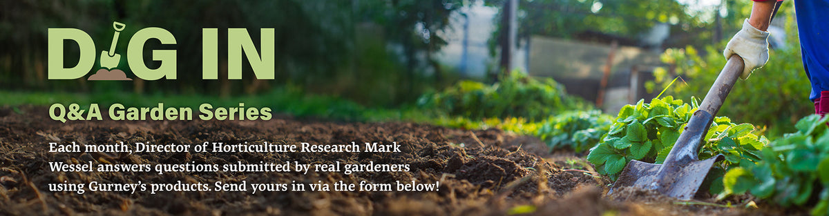 Dig In - Expert Gardening Q&A Videos | Gurney's Seed & Nursery Co.