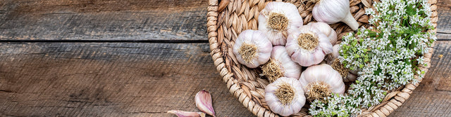 Shop Garlic Bulbs