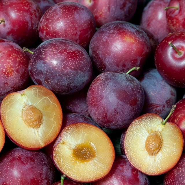 Sweet Treat Pluerry™