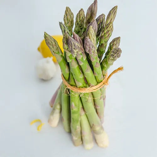 Browse New Catalog Online Gurney's Seed & Nursery Co.