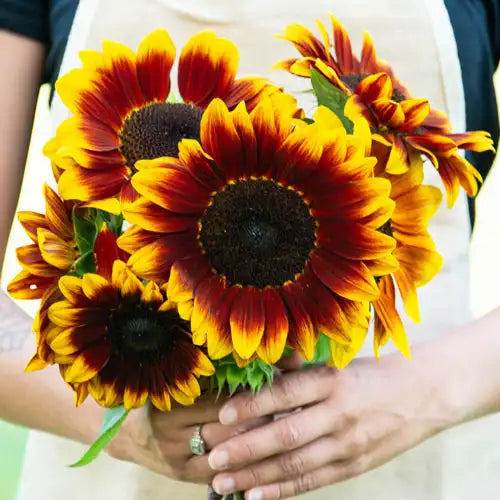 Free Seed Catalog Request Yours Today Gurney's Seed & Nursery Co