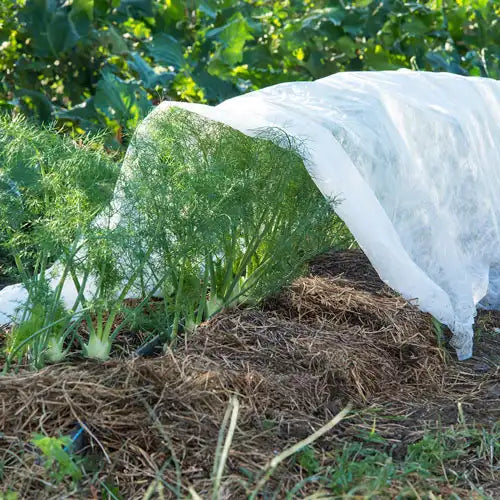 Spring Catalog Collection Gurney's Seed & Nursery Co. Gurneys