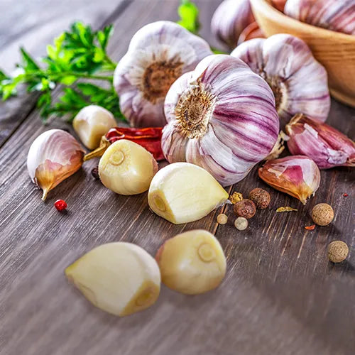 Free Seed Catalog Request Yours Today Gurney's Seed & Nursery Co.