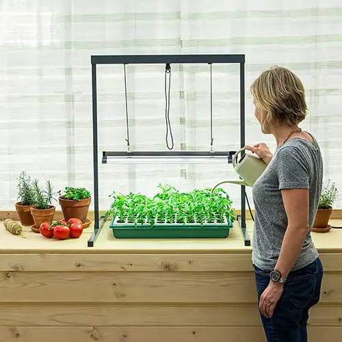 Browse New Catalog Online Gurney's Seed & Nursery Co.