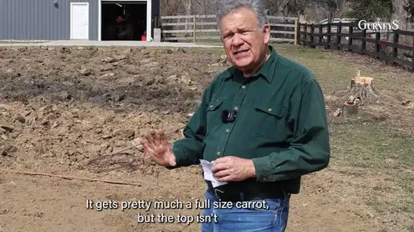 Planting Carrot Seeds with Niles