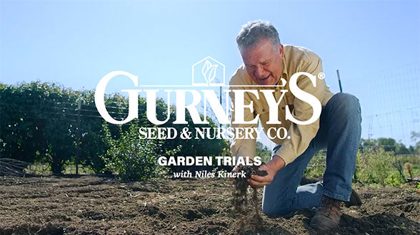 The Best Way to Start Seeds Indoors with Niles