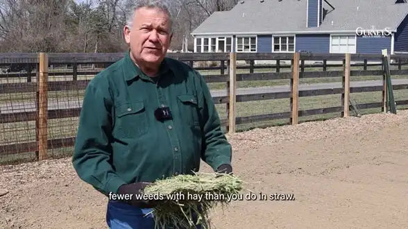 Hay vs. Straw for Garden Mulch with Niles 