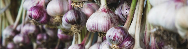 Easy & Delicious Garlic