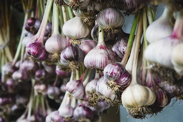 Easy & Delicious Garlic