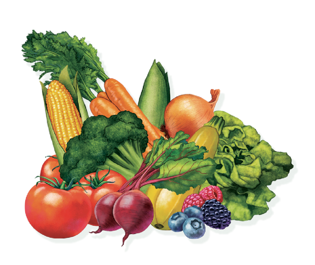 Spring Catalog Collection Gurney's Seed & Nursery Co. Gurneys