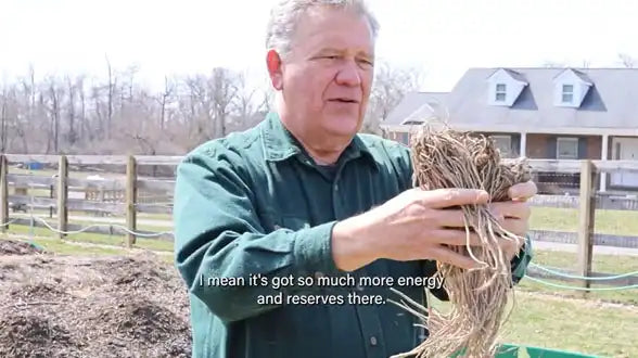 Planting Asparagus with Niles