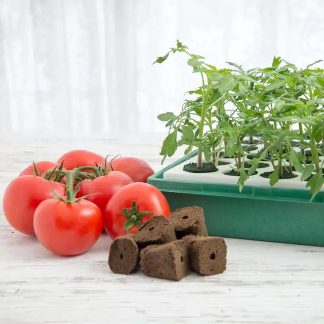 garden seed starting kits Gurney's Seed Starting Kit